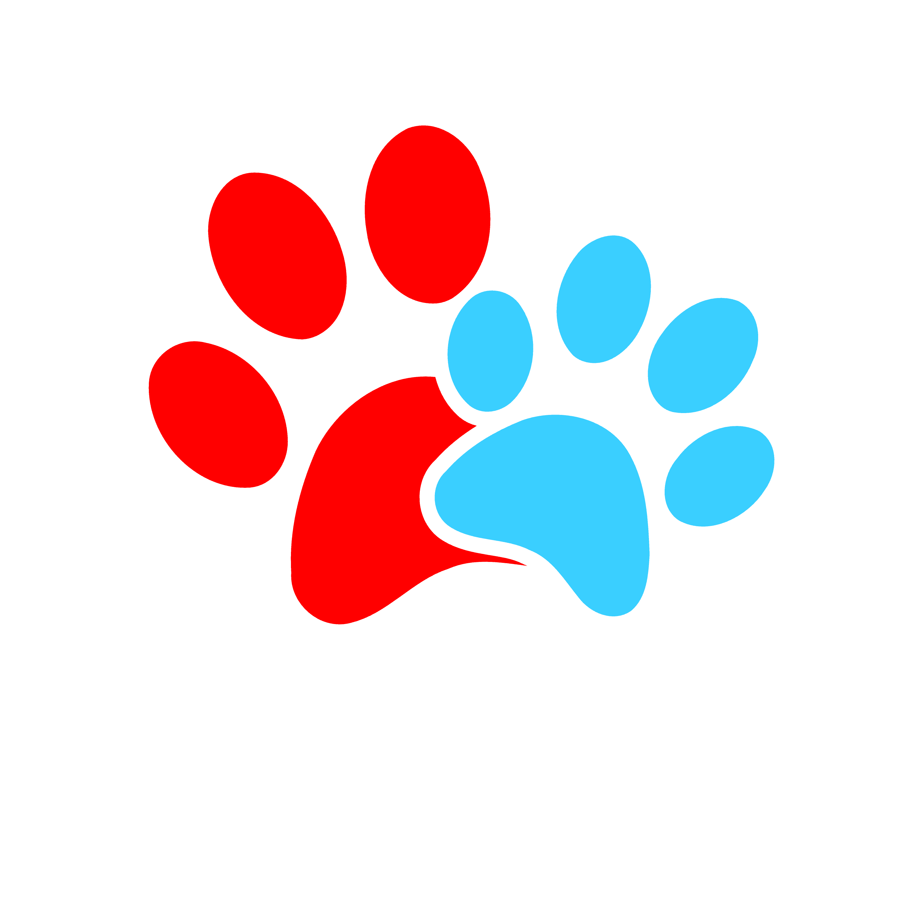 PaWS LogoMark
